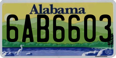 AL license plate 6AB6603
