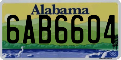 AL license plate 6AB6604