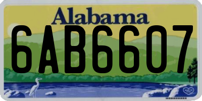 AL license plate 6AB6607