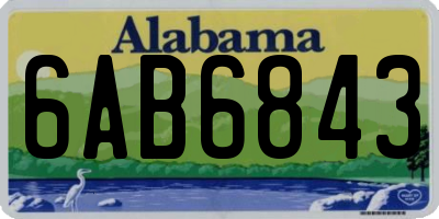 AL license plate 6AB6843