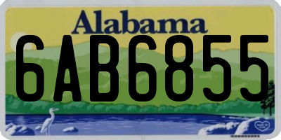 AL license plate 6AB6855