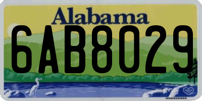 AL license plate 6AB8029