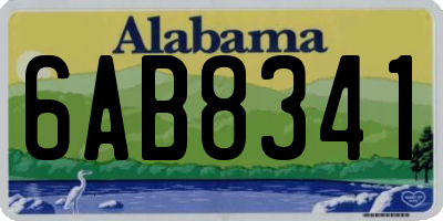 AL license plate 6AB8341