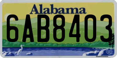 AL license plate 6AB8403