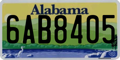AL license plate 6AB8405