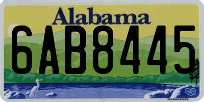 AL license plate 6AB8445