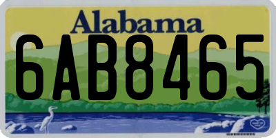 AL license plate 6AB8465