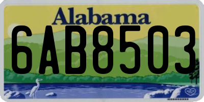 AL license plate 6AB8503