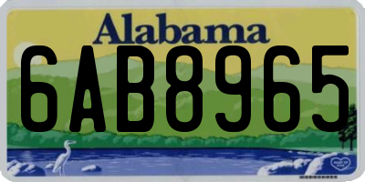 AL license plate 6AB8965