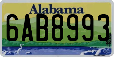 AL license plate 6AB8993