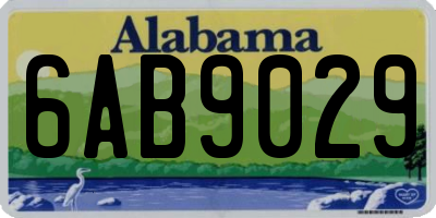 AL license plate 6AB9029