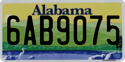 AL license plate 6AB9075