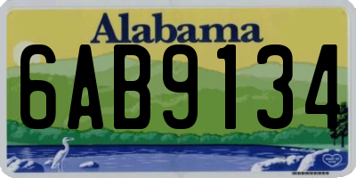 AL license plate 6AB9134