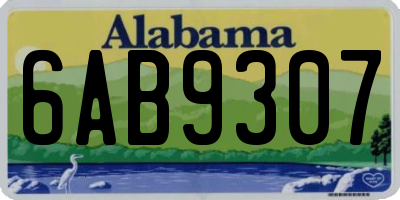 AL license plate 6AB9307