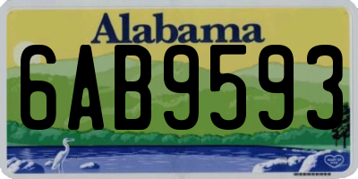 AL license plate 6AB9593