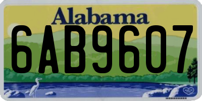 AL license plate 6AB9607