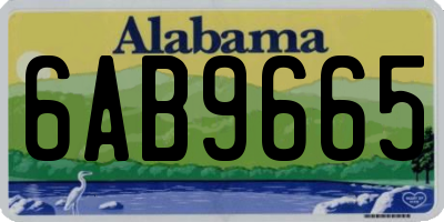 AL license plate 6AB9665