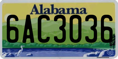 AL license plate 6AC3036