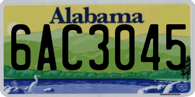 AL license plate 6AC3045