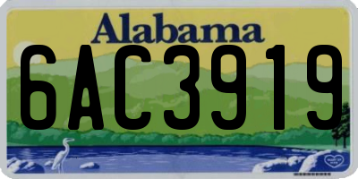 AL license plate 6AC3919
