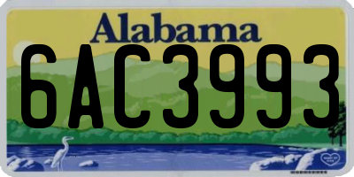 AL license plate 6AC3993
