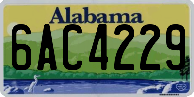 AL license plate 6AC4229