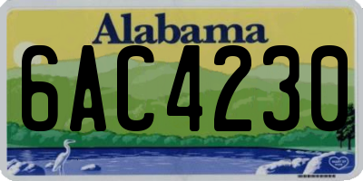 AL license plate 6AC4230