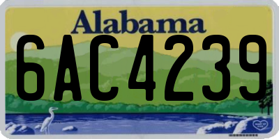 AL license plate 6AC4239