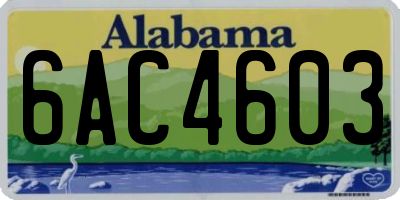 AL license plate 6AC4603