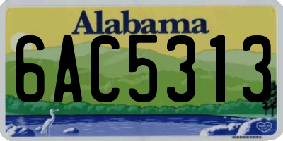 AL license plate 6AC5313