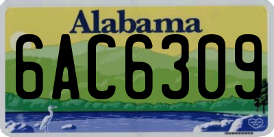 AL license plate 6AC6309
