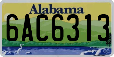 AL license plate 6AC6313