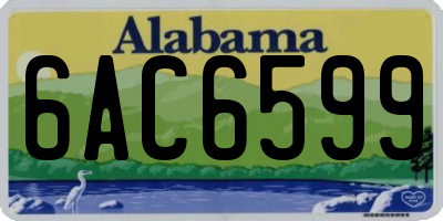 AL license plate 6AC6599