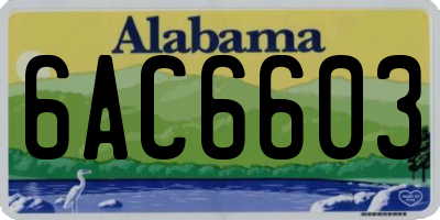 AL license plate 6AC6603