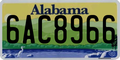 AL license plate 6AC8966