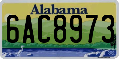 AL license plate 6AC8973