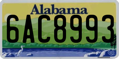 AL license plate 6AC8993