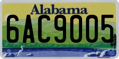 AL license plate 6AC9005