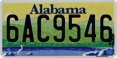 AL license plate 6AC9546