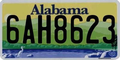 AL license plate 6AH8623
