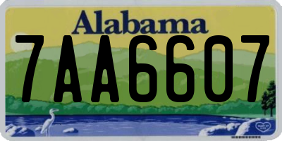 AL license plate 7AA6607