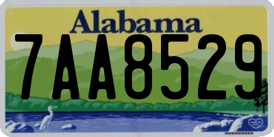 AL license plate 7AA8529