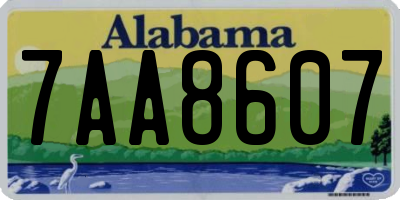 AL license plate 7AA8607