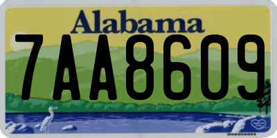 AL license plate 7AA8609