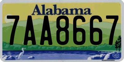 AL license plate 7AA8667