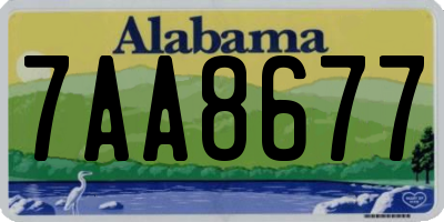 AL license plate 7AA8677