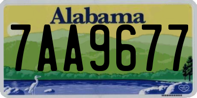 AL license plate 7AA9677