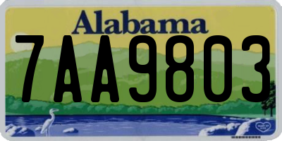 AL license plate 7AA9803