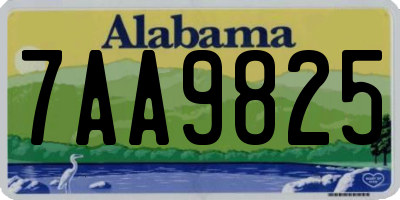 AL license plate 7AA9825
