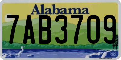 AL license plate 7AB3709
